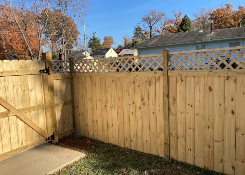 Gallery — photo 77