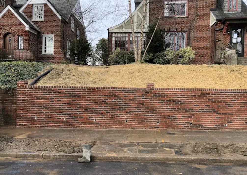 Gallery — photo 89