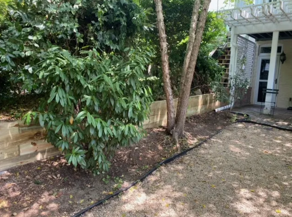 Gallery — photo 87