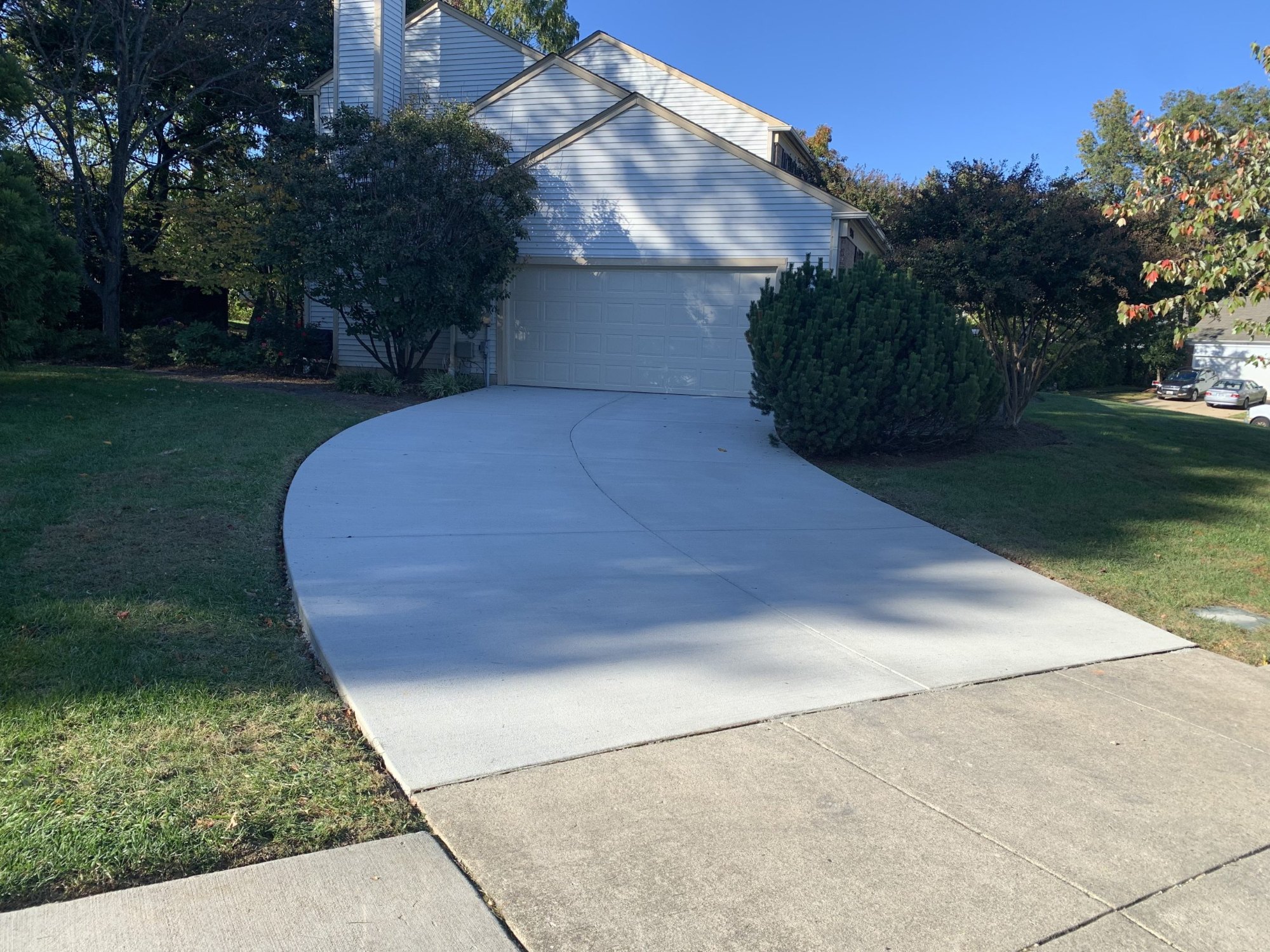 Gallery — photo 51